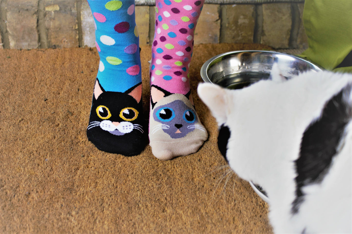 Odd Socks Cat Gift Box