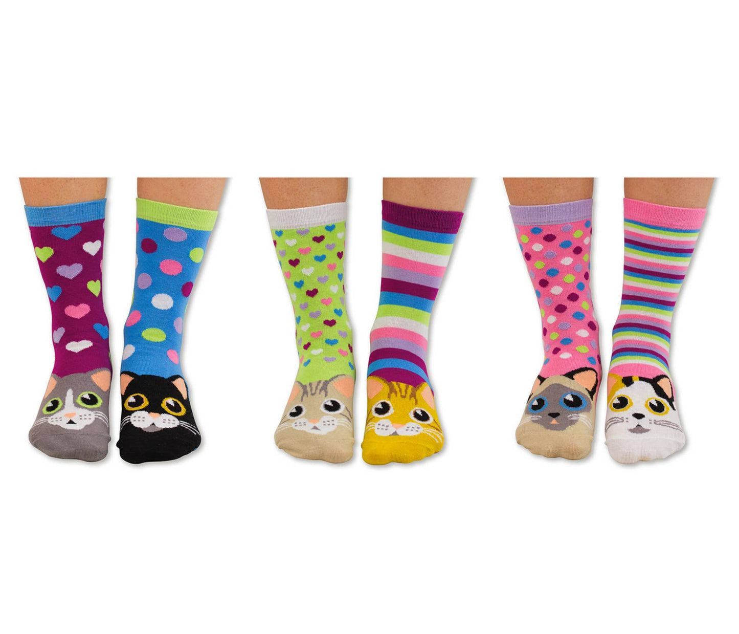 Odd Socks Cat Gift Box