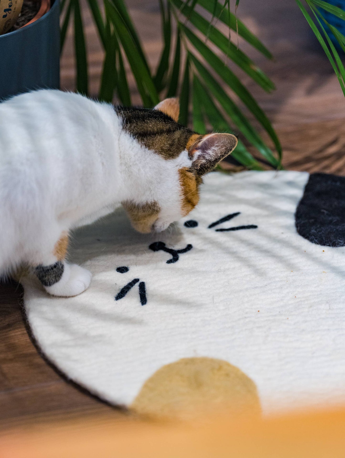 Cat Resting Mat, 100% Wool, Wet Felted, Soft & Cozy