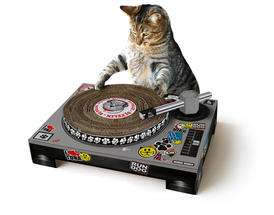 Cat scratch DJ decks