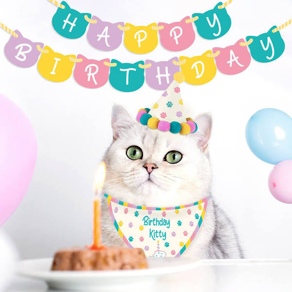 Kitty Birthday Kit