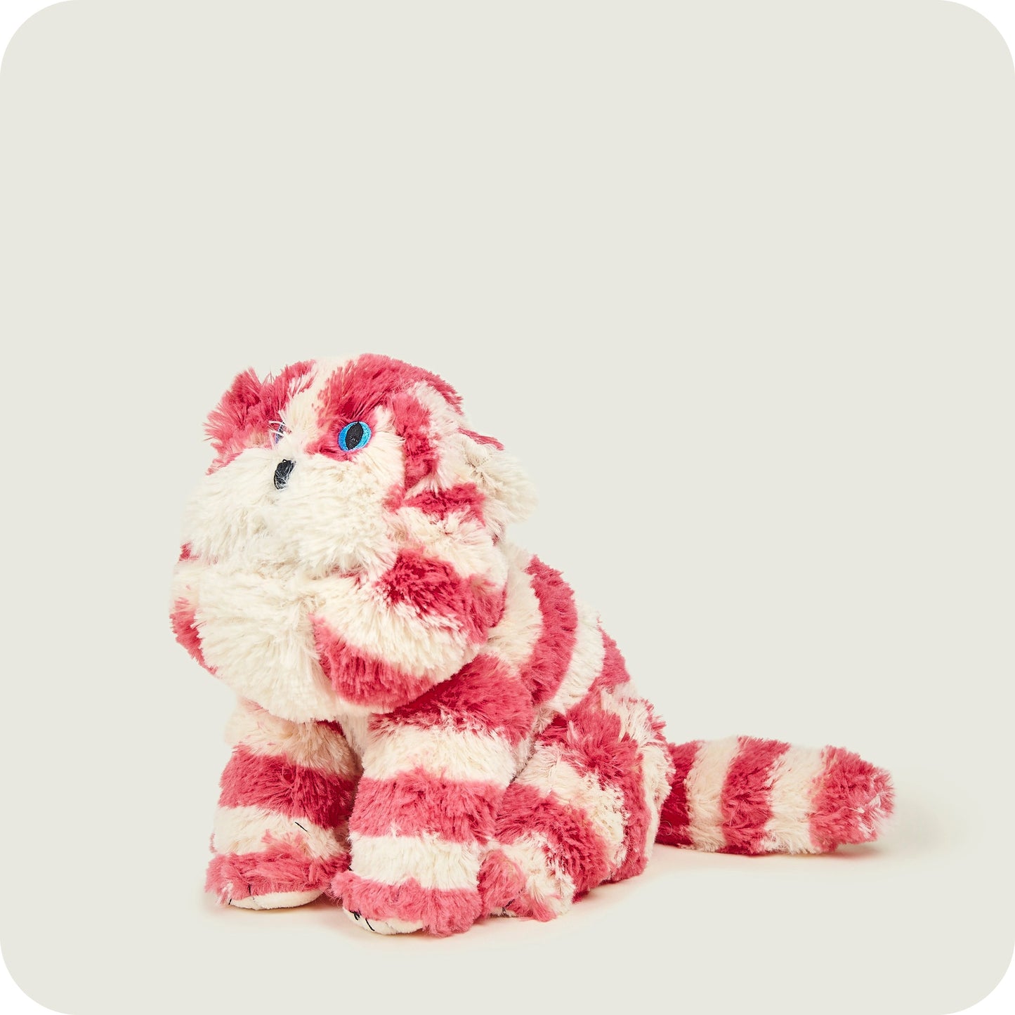 Microwaveable Warming Bagpuss