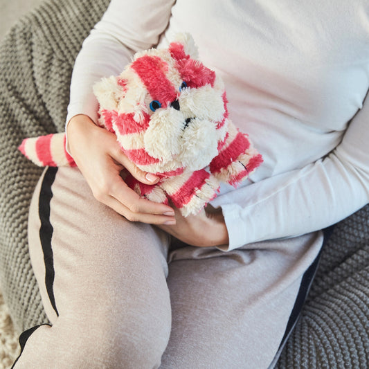 Microwaveable Warming Bagpuss